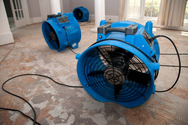 Best Flooded house restoration  in Muskegon Heights, MI