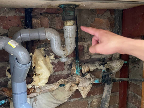Best Water damage cleanup near me  in Muskegon Heights, MI